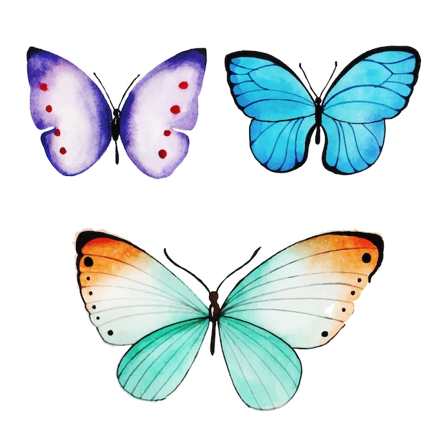 Vector watercolor butterflies collection