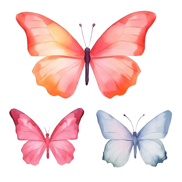 watercolor butterflies illustration clipart