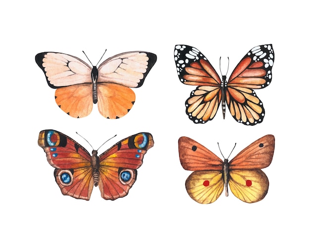 Vector watercolor butterflies set