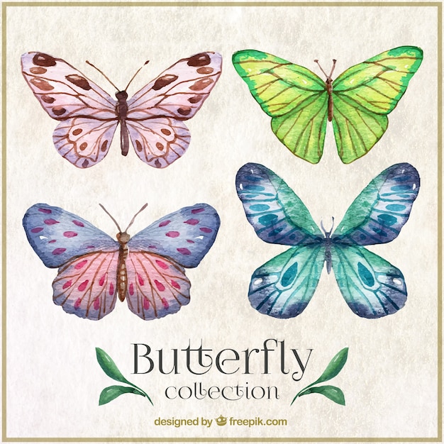 Vector watercolor butterflies with abstract shapes wings