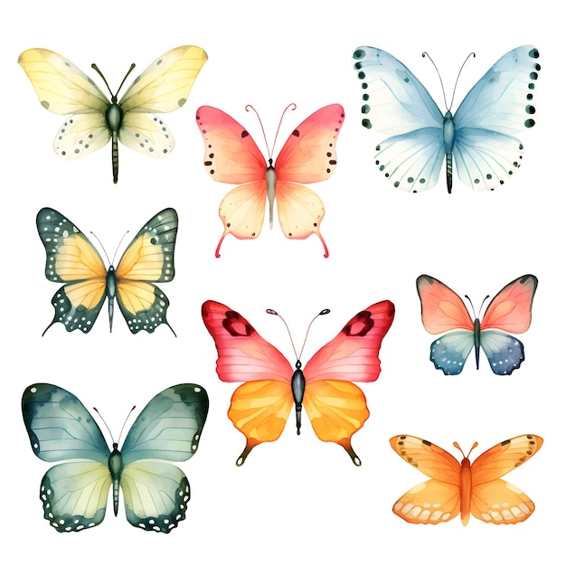 watercolor butterfly clipart set