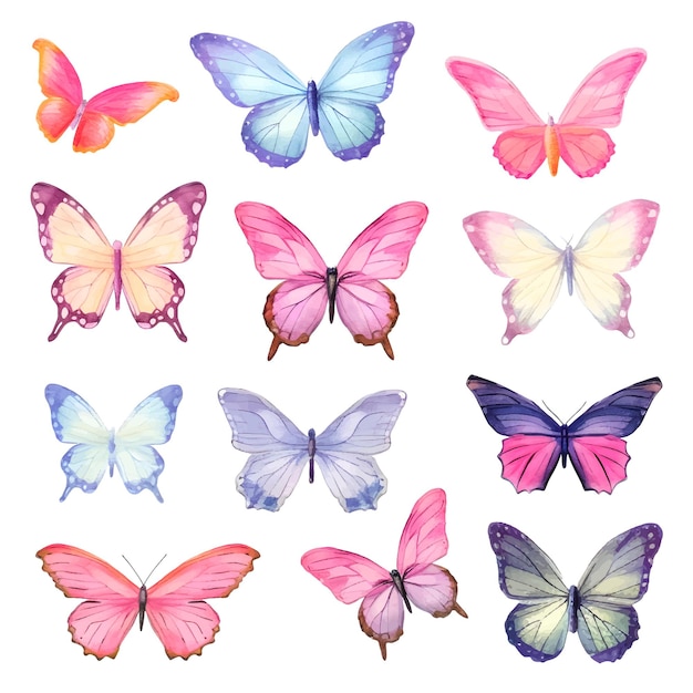 watercolor butterfly clipart set