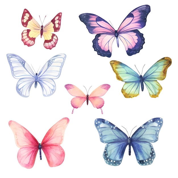 Vector watercolor butterfly clipart set