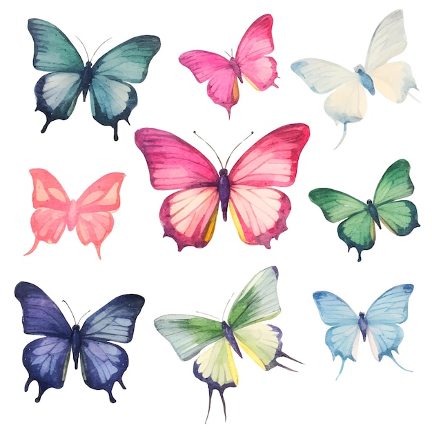 watercolor butterfly clipart set