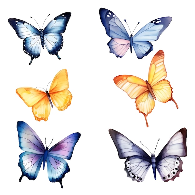 Vector watercolor butterfly clipart set