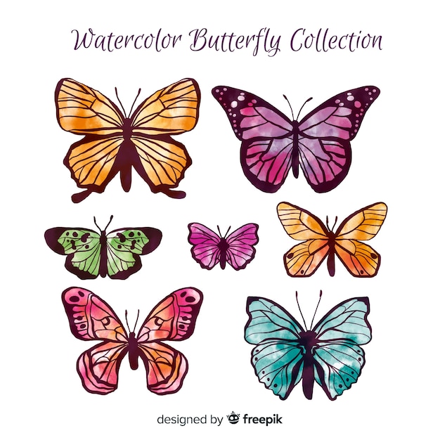 Watercolor butterfly collection