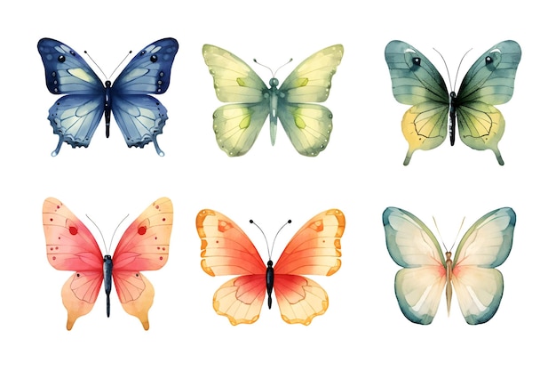 Акварель бабочка иллюстрация клипарт набор