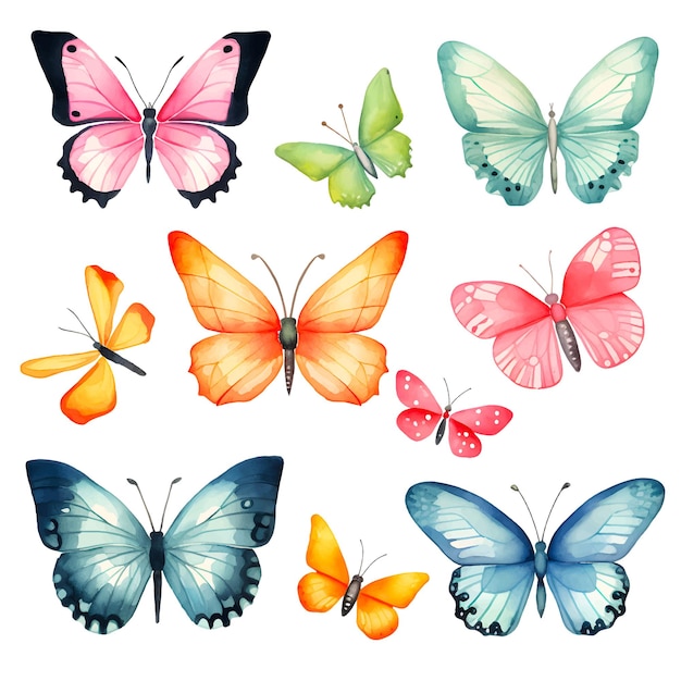 Watercolor butterfly illustration clipart set