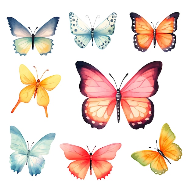 Acquerello illustrazione farfalla clipart set