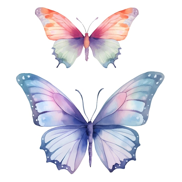 Watercolor butterfly illustration