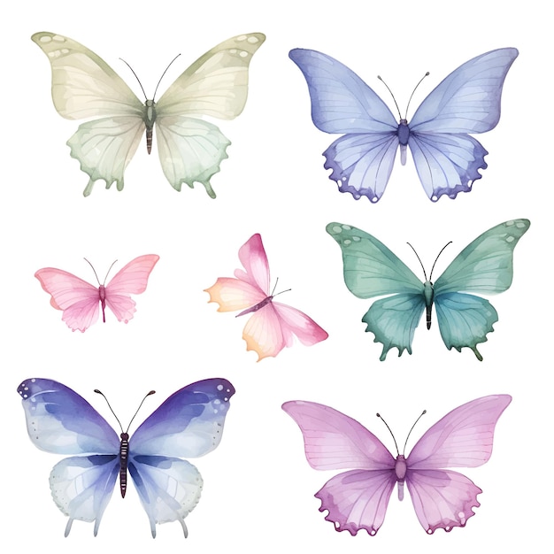 акварельная иллюстрация бабочки