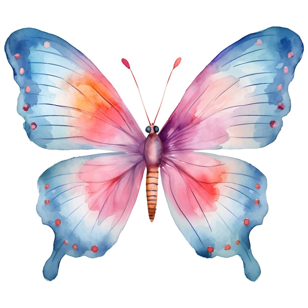 watercolor butterfly illustration