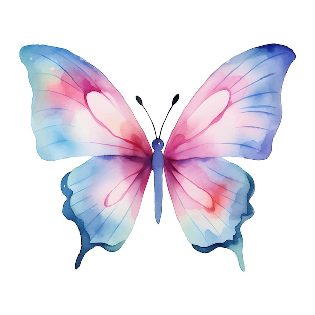 watercolor butterfly illustration