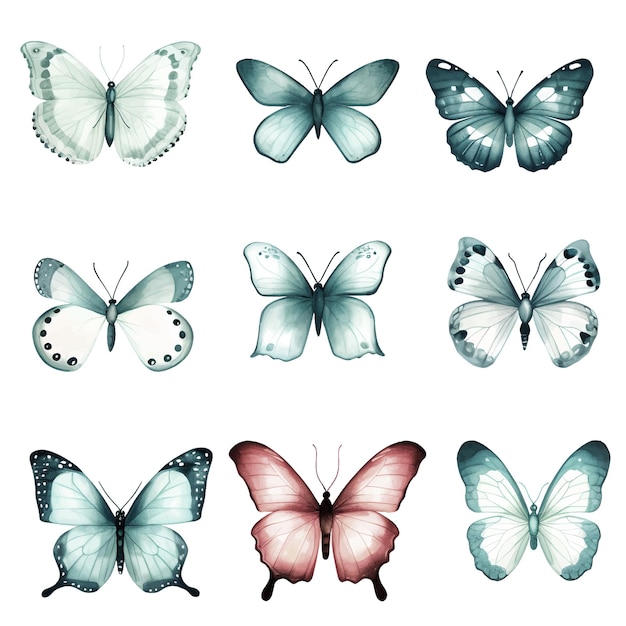 Акварельная иллюстрация бабочки