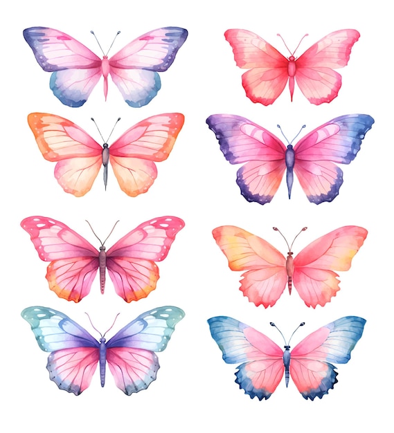 watercolor butterfly illustration