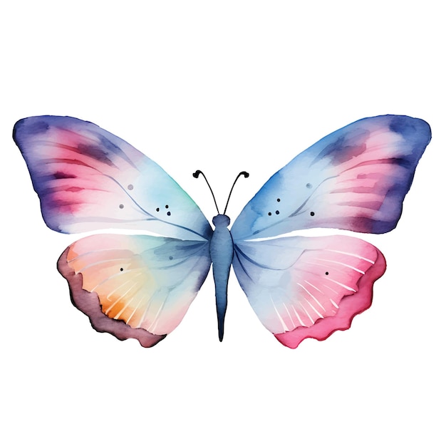 watercolor butterfly set