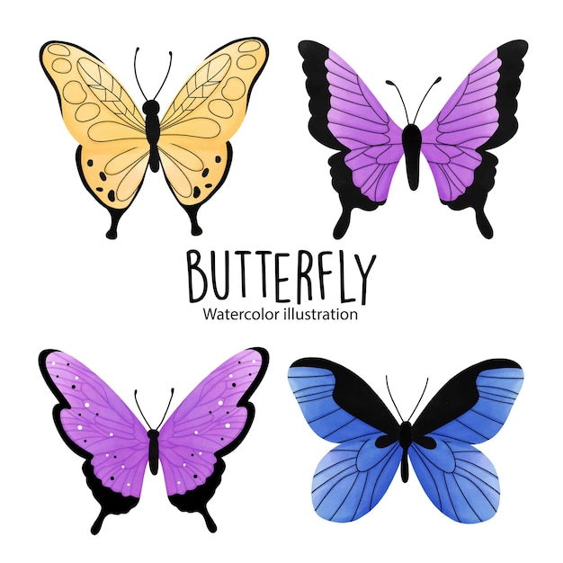 Watercolor butterfly vector illustration