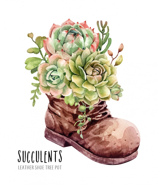 Watercolor Cacti and Succulents in leather boot flower pot