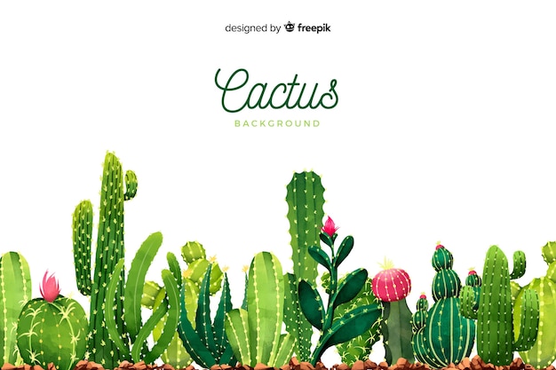 Vector watercolor cactus background