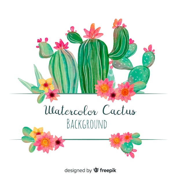 Vector watercolor cactus background