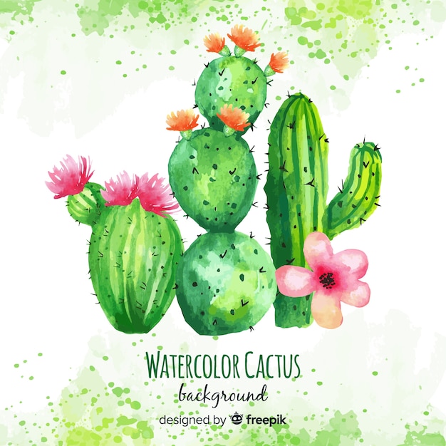 Watercolor cactus background