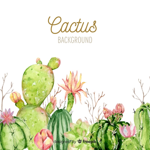 Watercolor cactus background