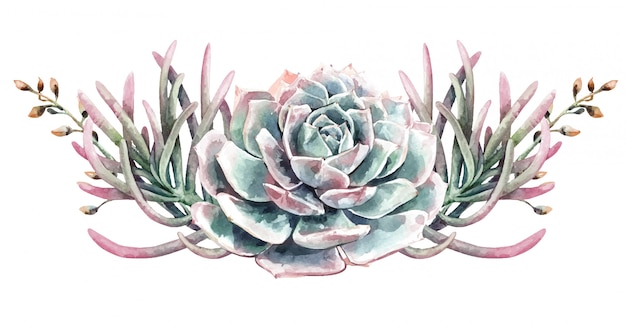 수채화 선인장 선인장과 succulents 꽃다발. 즙이 많은 페인트.