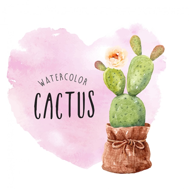 Vector watercolor cactus and flower with sack bag.