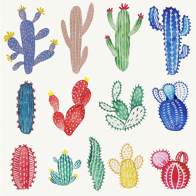 Watercolor cactus set