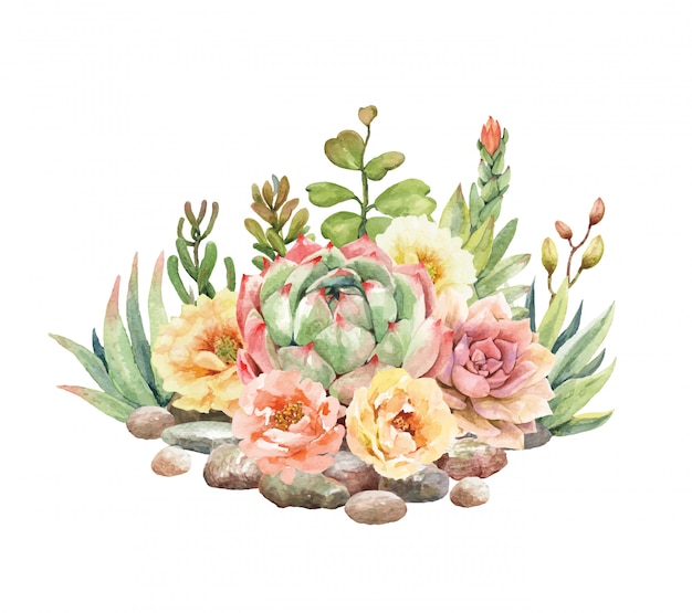 Watercolor cactus and succulent are surrounded by stones.