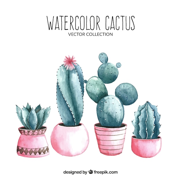 Vector watercolor cactus with lovely style