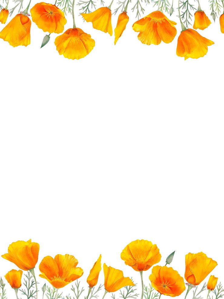 Watercolor california orange poppies frame