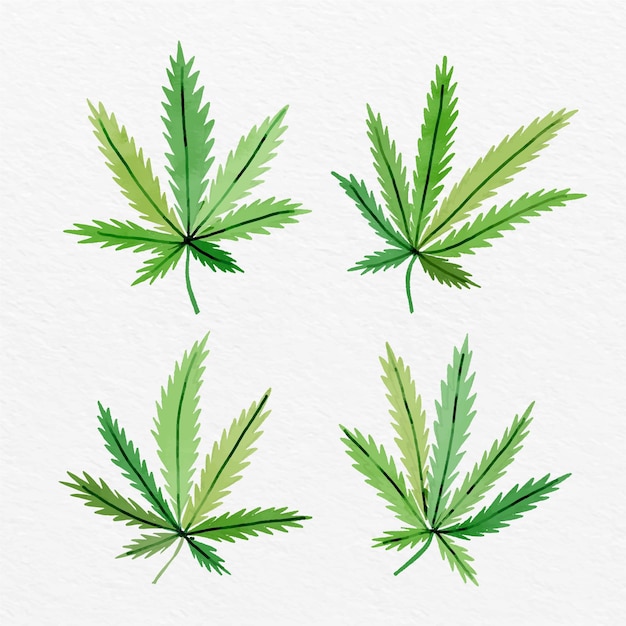 Watercolor cannabis leaves collection