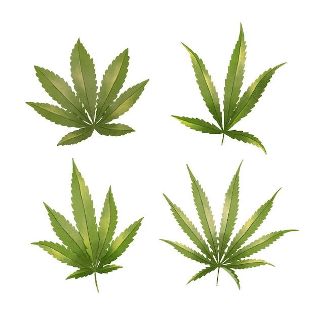 Watercolor cannabis leaves pack