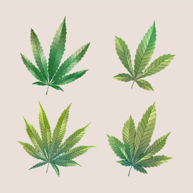 Vector watercolor cannabis leaves set