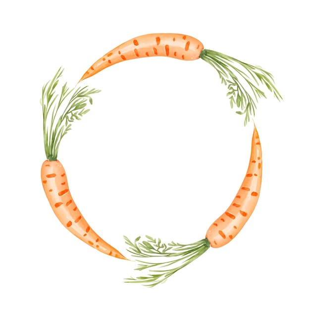 Watercolor carrots circle frame template with copy space Vector illustration