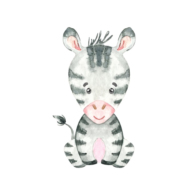 Vector watercolor cartoon zebre