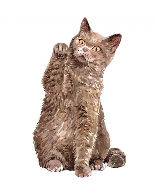 Акварельная кошка британская короткошерстная с поднятыми руками.