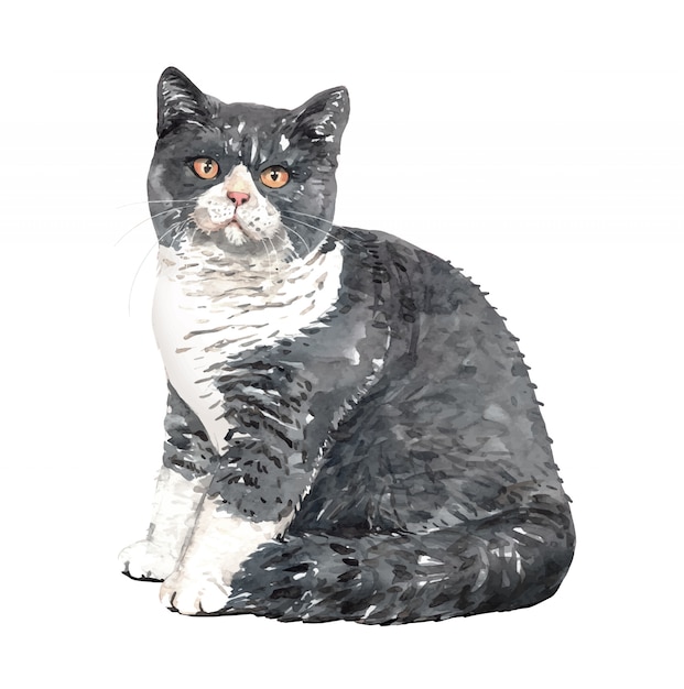 Watercolor cat british shorthair sitting tilt.