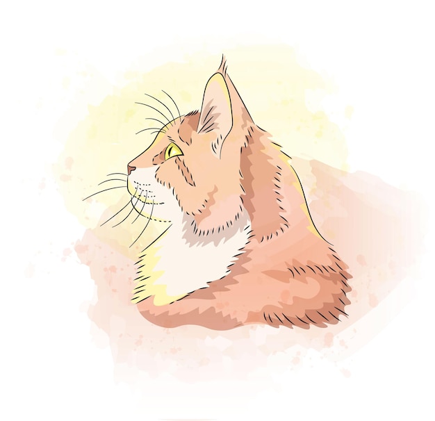 ベクトル 水彩猫の肖像画