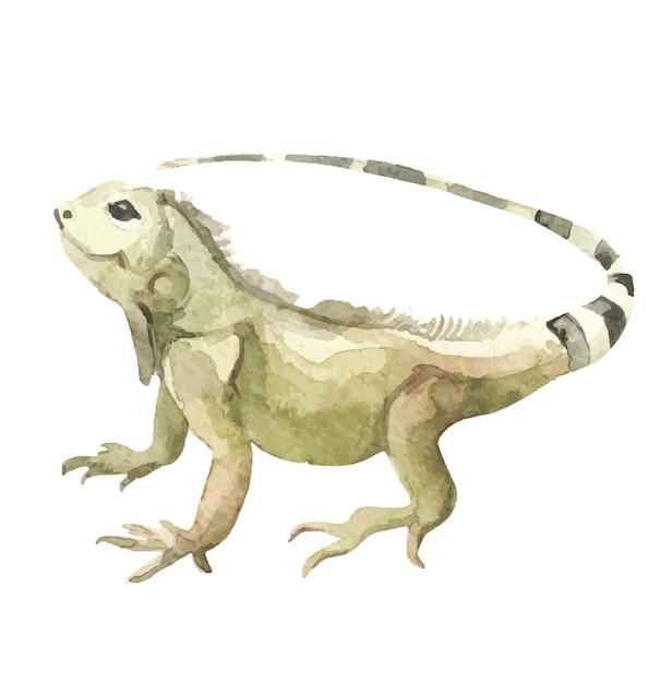 Watercolor chameleon illustration for kids