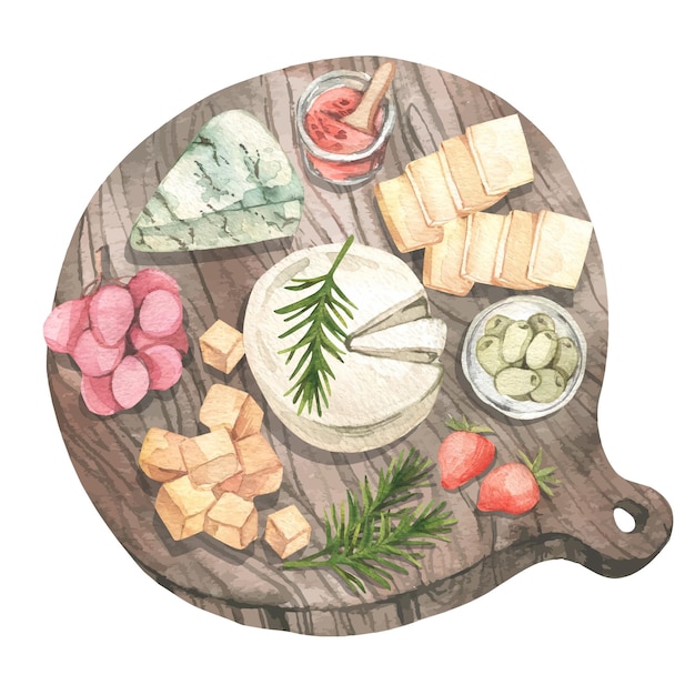 Vector watercolor cheese board illustration