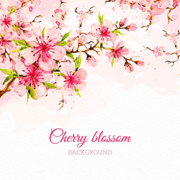 Watercolor cherry blossom background