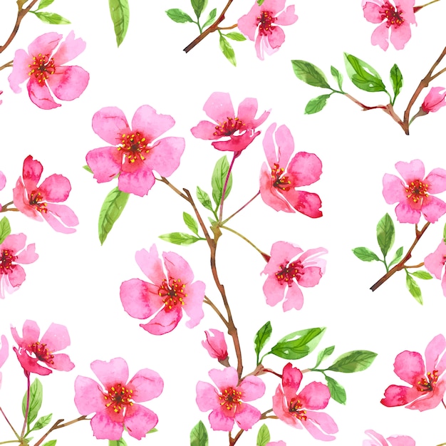 Watercolor cherry blossom flower seamless pattern. sakura beautiful spring floral template. colorful illustration isolated on white background.