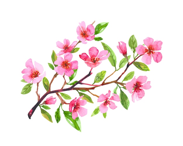 수채화 벚꽃 꽃 화 환입니다. 사쿠라 아름다운 봄 꽃 손으로 그린 예술. 다채로운 그림 흰색 배경에 고립입니다.