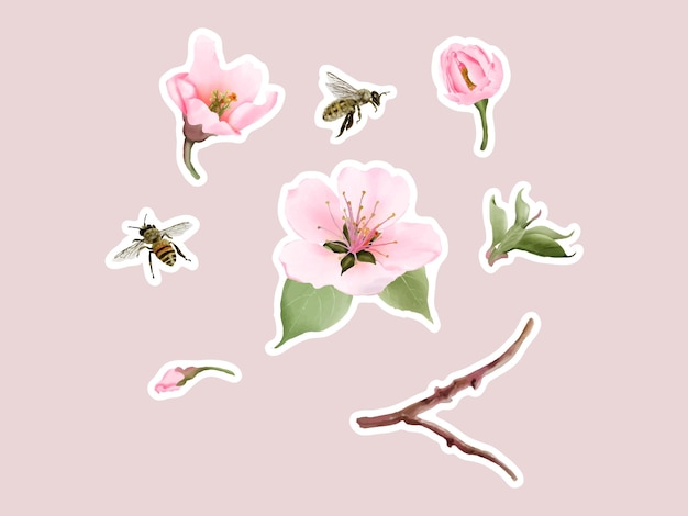 watercolor cherry blossom sticker set