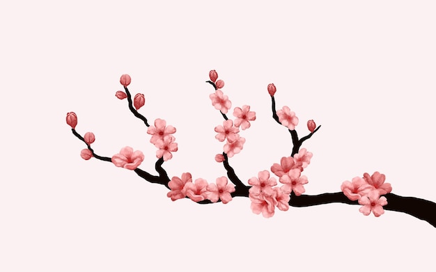 Watercolor cherry blossom vector. cherry blossom branch with sakura flower