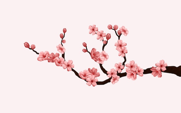 watercolor cherry blossom vector. cherry blossom branch with sakura flower