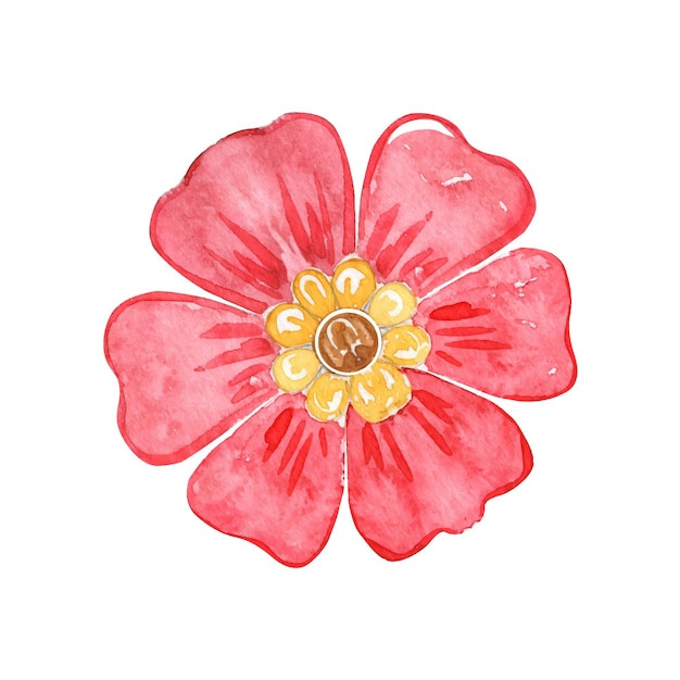 Watercolor chinese red flower