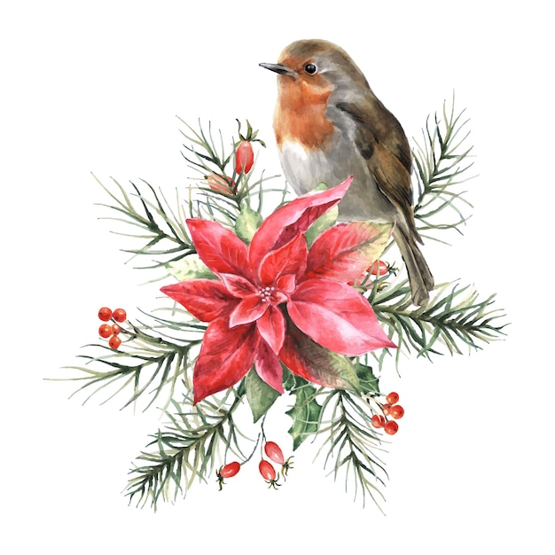 Watercolor christmas composition with robin bird and poinsettia